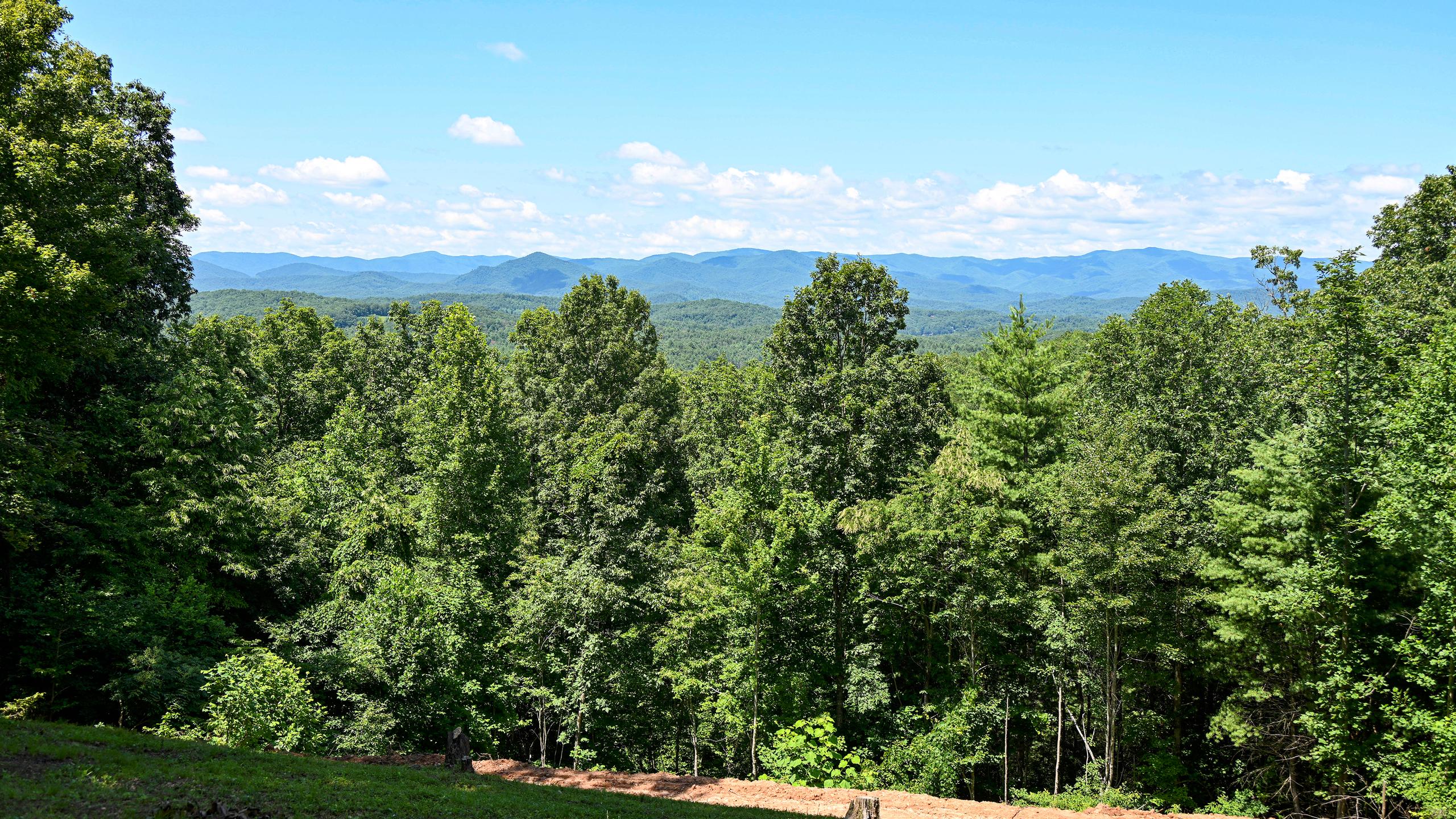 13 Rocky Mountain Cabin Rentals