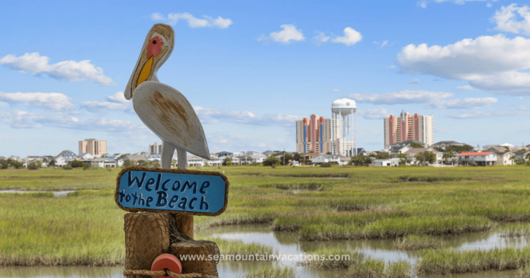 Best Beach in North Myrtle Beach