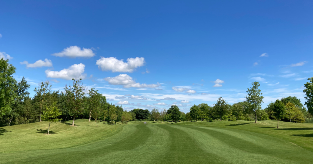 A short par-3 hole with bright green grass, gentle slopes, and white fences, perfect for beginners or a quick round. Set among tall trees and open skies for a relaxing day.
