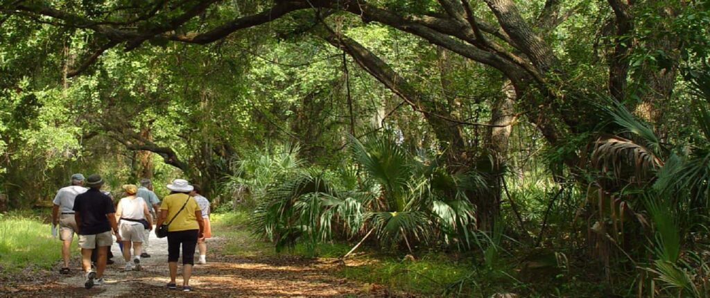 St Simons Island Tree Spirits The Golden Isles GA Rentals   IStock 000000347744PARK 1 1500x630 1 1024x430 