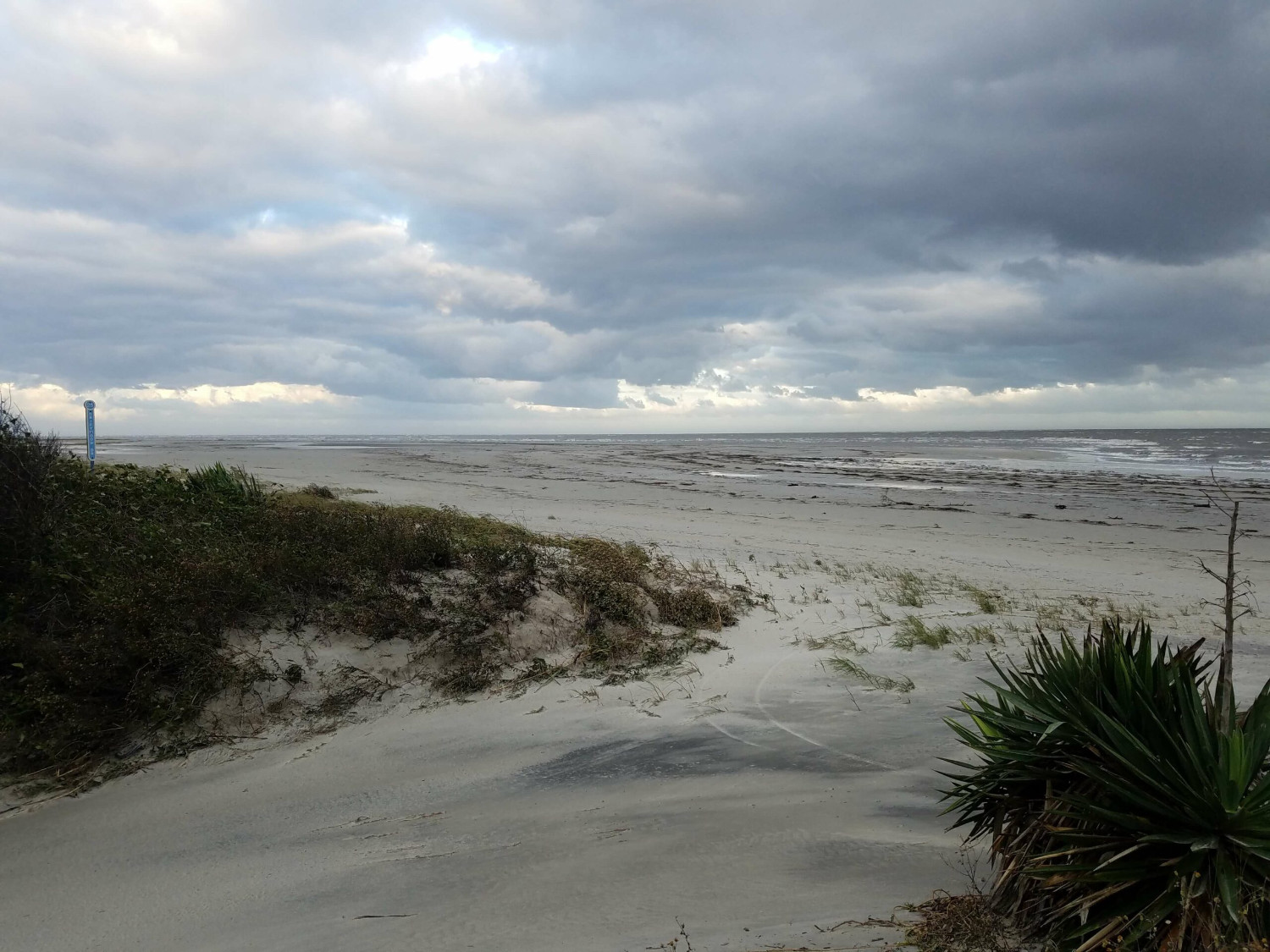 St. Simons Island Beaches – Everything You Need to Know - Hodnett