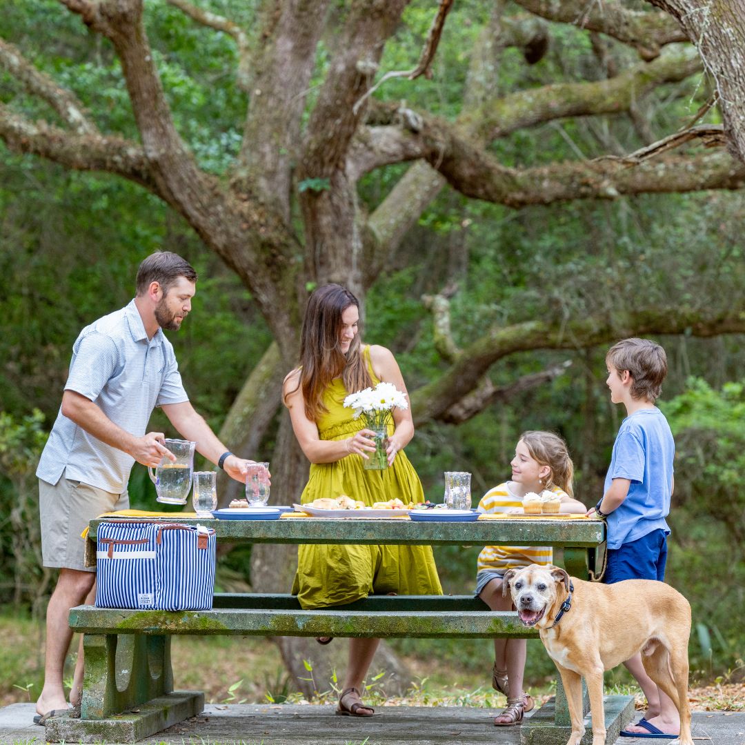 The Wild Side of St. Simons Island & Jekyll Island - Hodnett Cooper