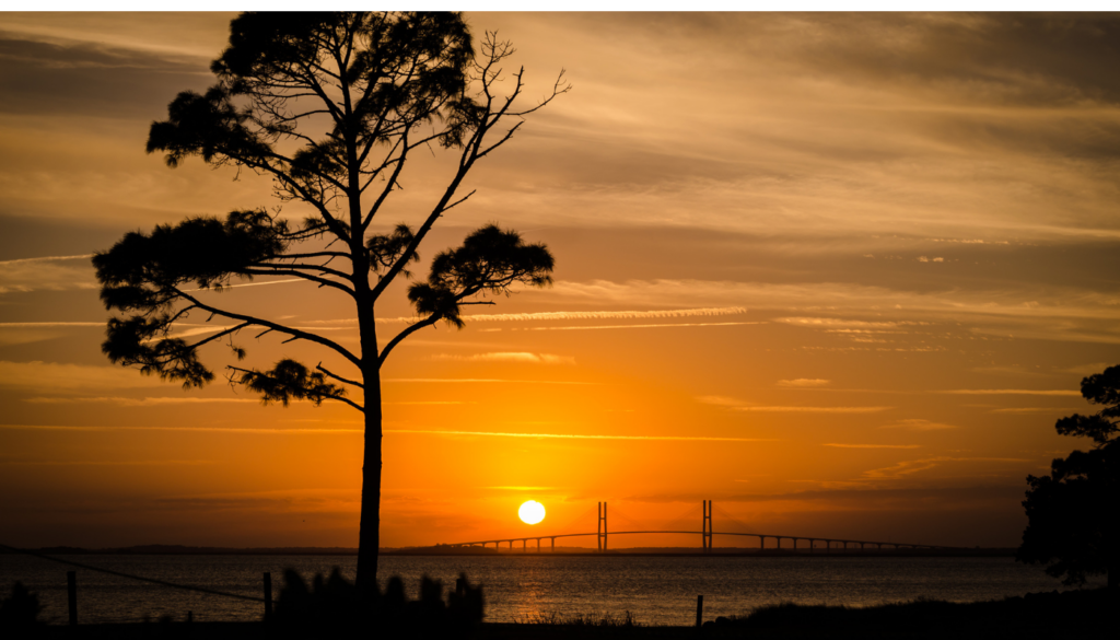 Sidney Lanier Bridge on St. Simons Island