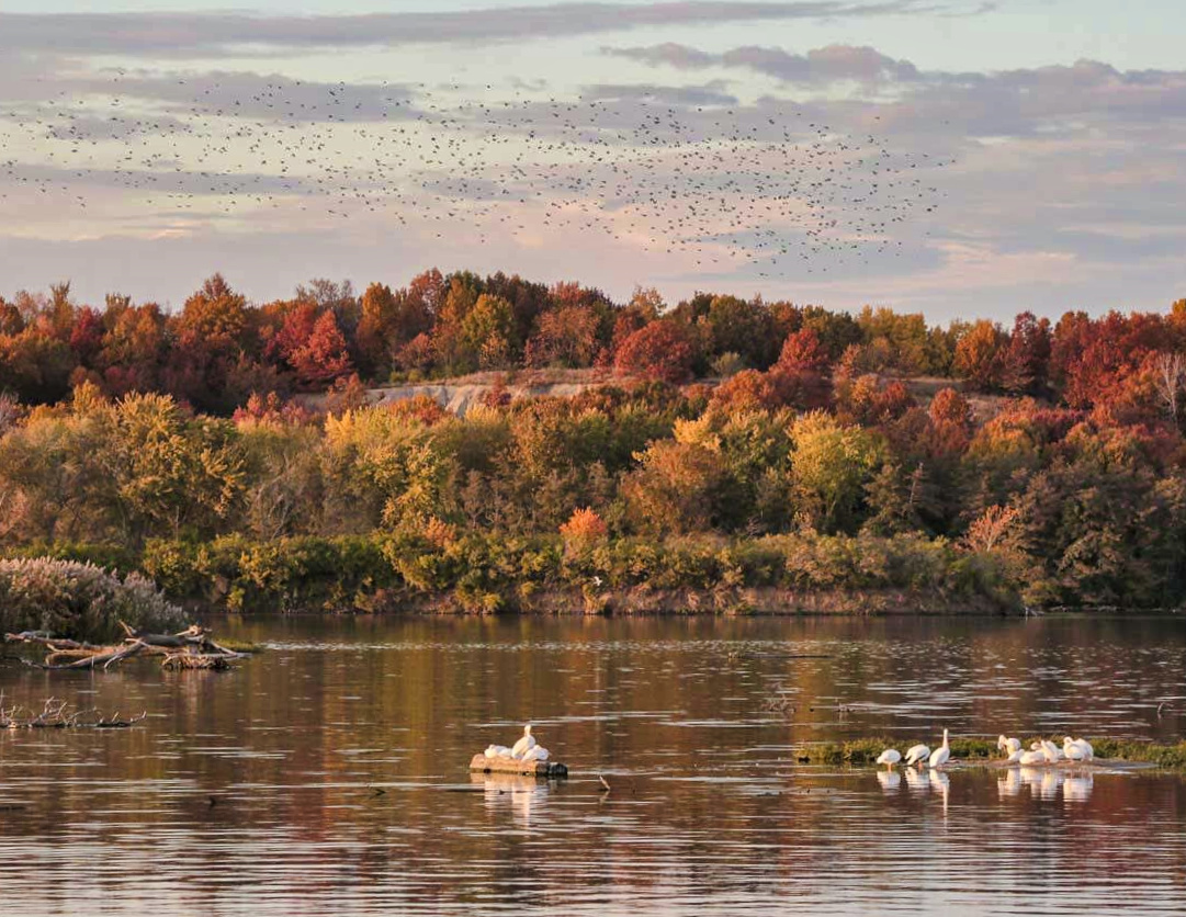 A Fall Weekend to Remember: Starved Rock and Ottawa, IL’s Color Explosion!