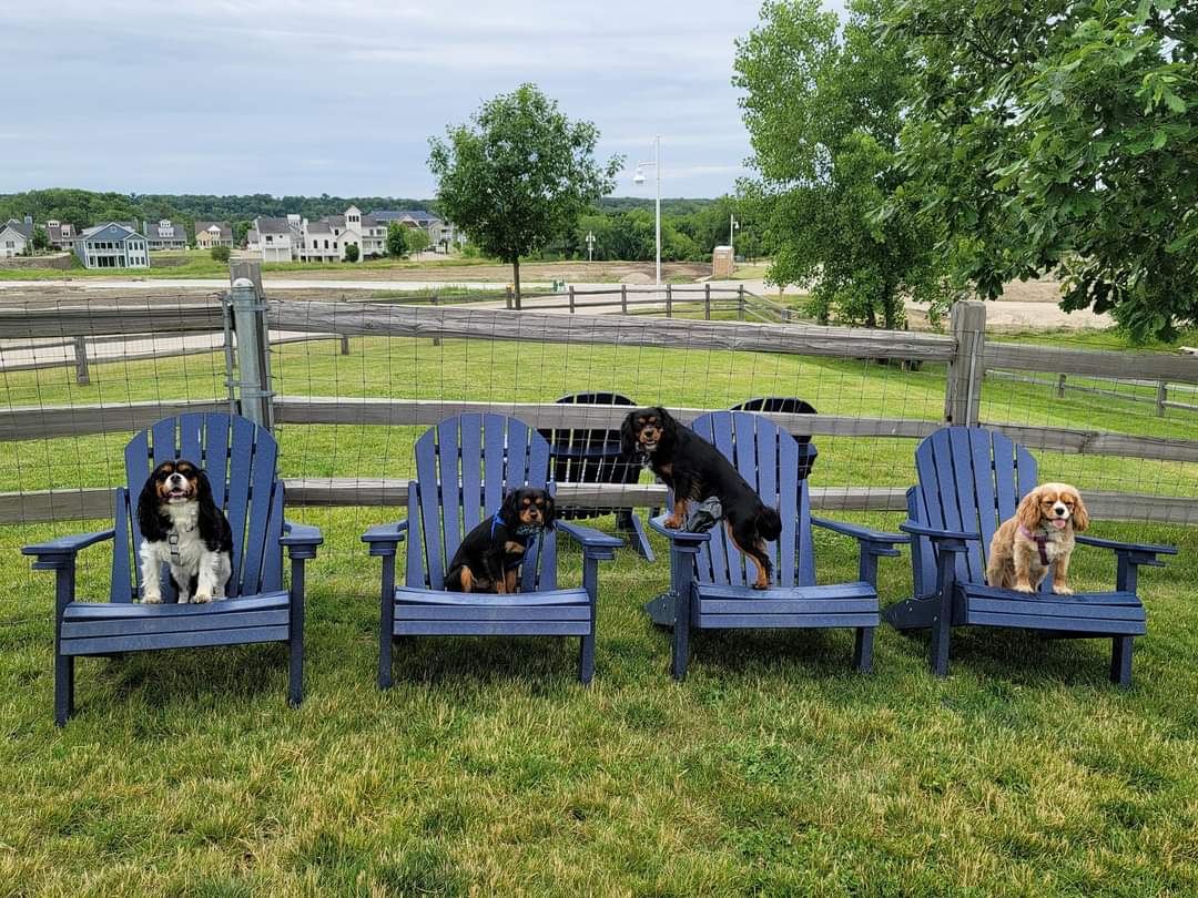 Spring with Furry Companions: Exploring Pet-Friendly Adventures in Heritage Harbor and Starved Rock Country