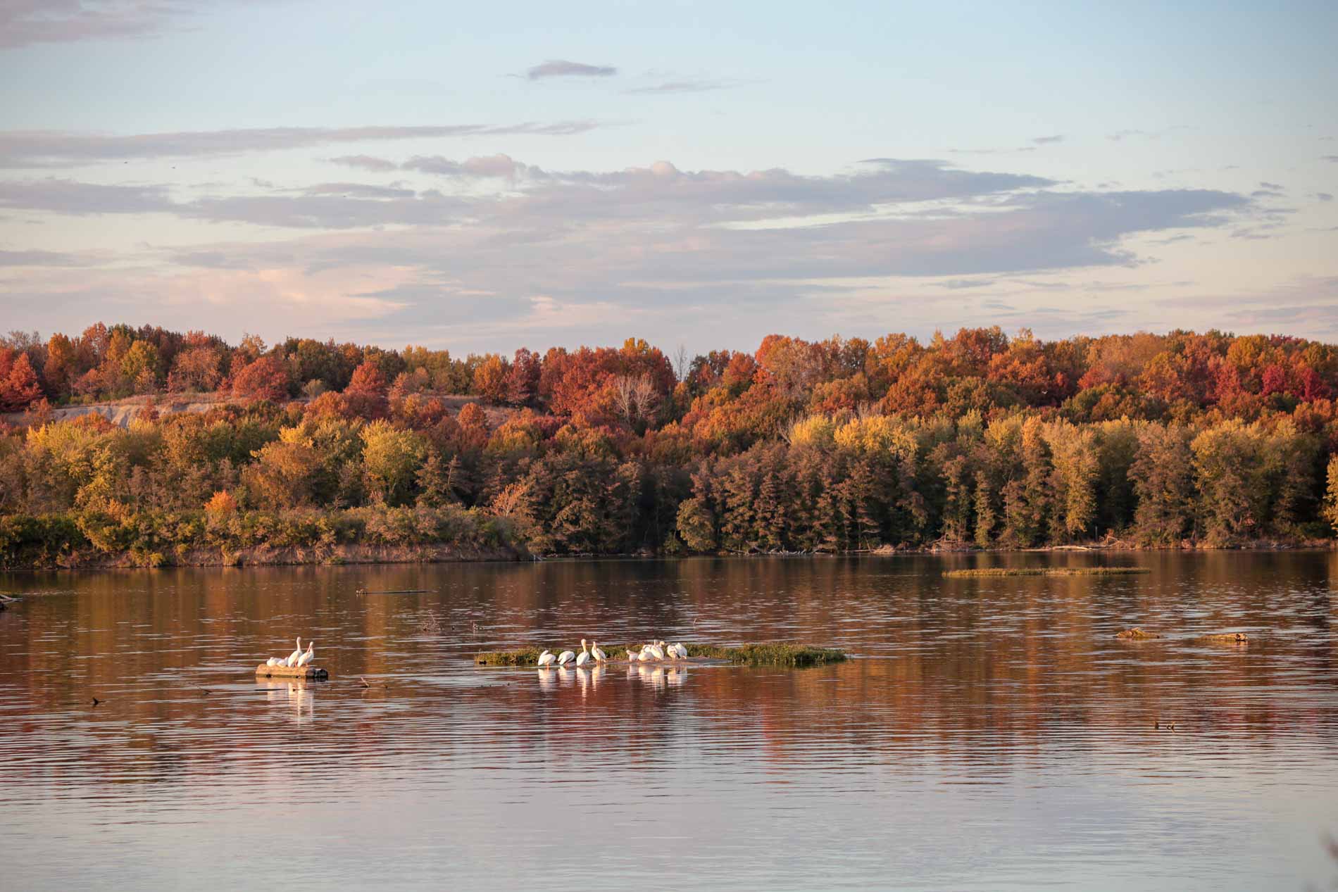 Thanksgiving by the Harbor: Special Ways to Celebrate at Harbor Inn