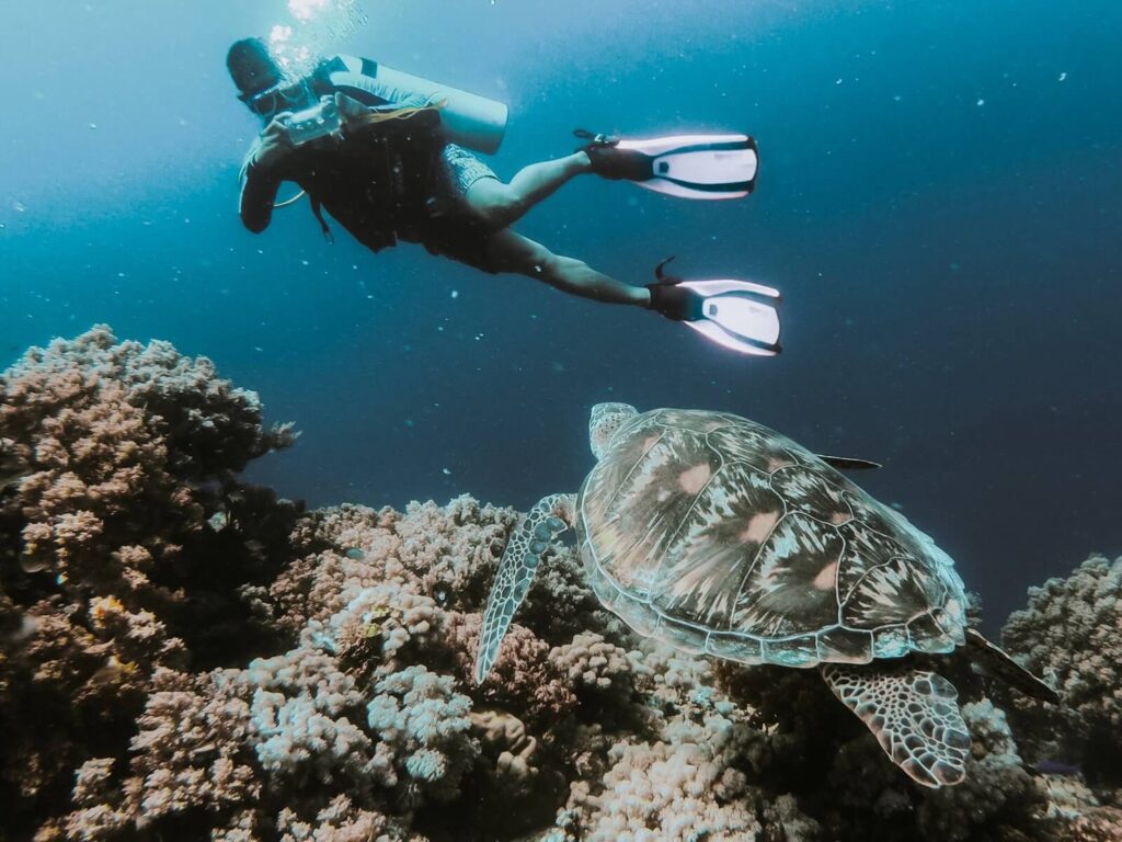 Scuba Diving Tamarindo Costa Rica
