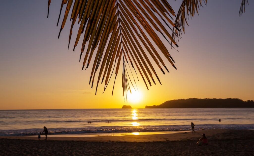 Sunset in Tamarindo Costa Rica with large tree leaf above and people walking along the shoreline