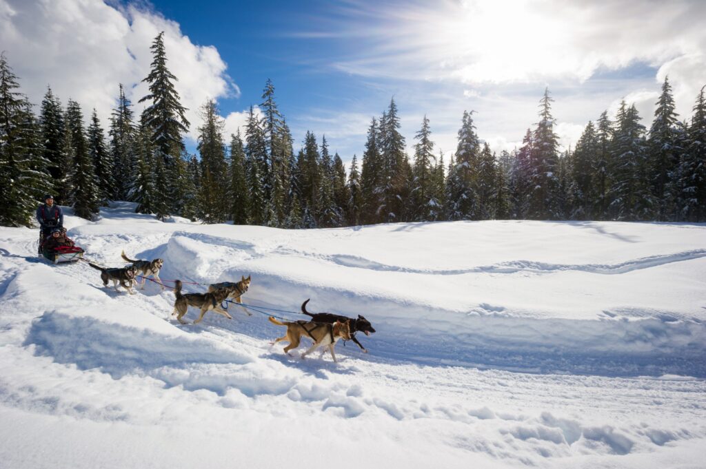 Tourism Whistler/Justa Jeskova