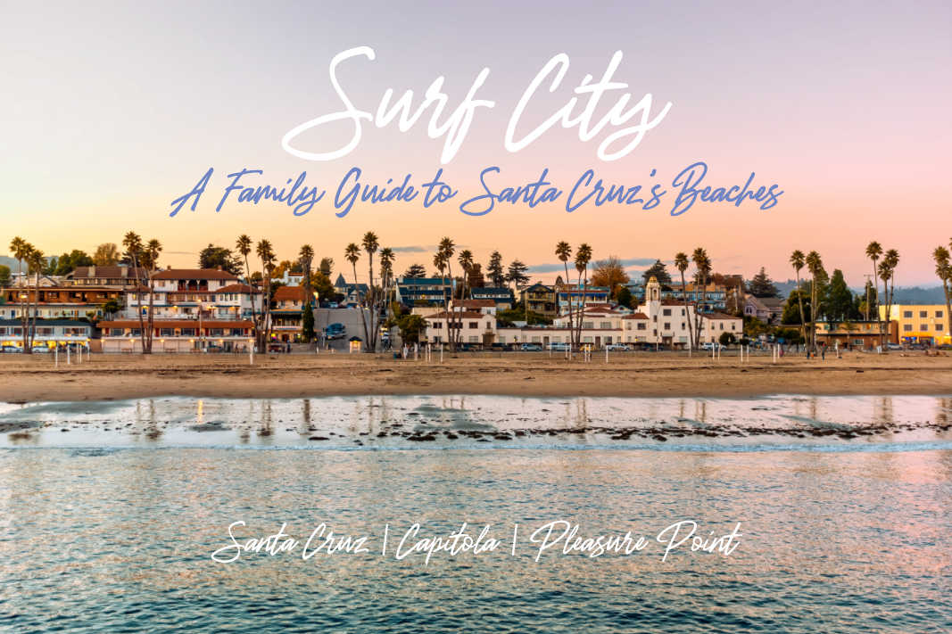 Surf City A Family Guide to Santa Cruz s beaches