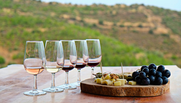 wine tasting at vineyard