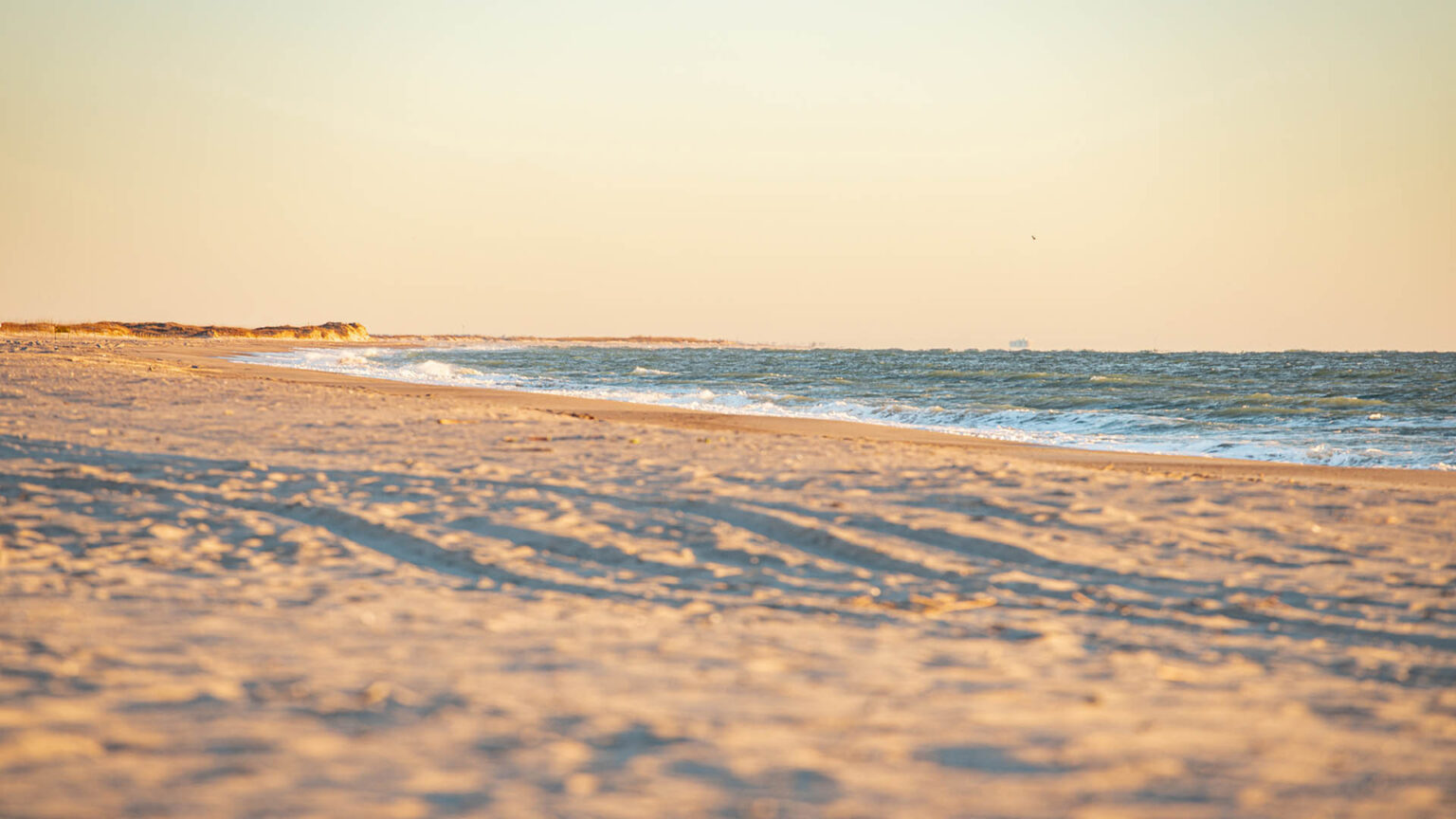 Who We Are Pleasure Island Properties, Inc