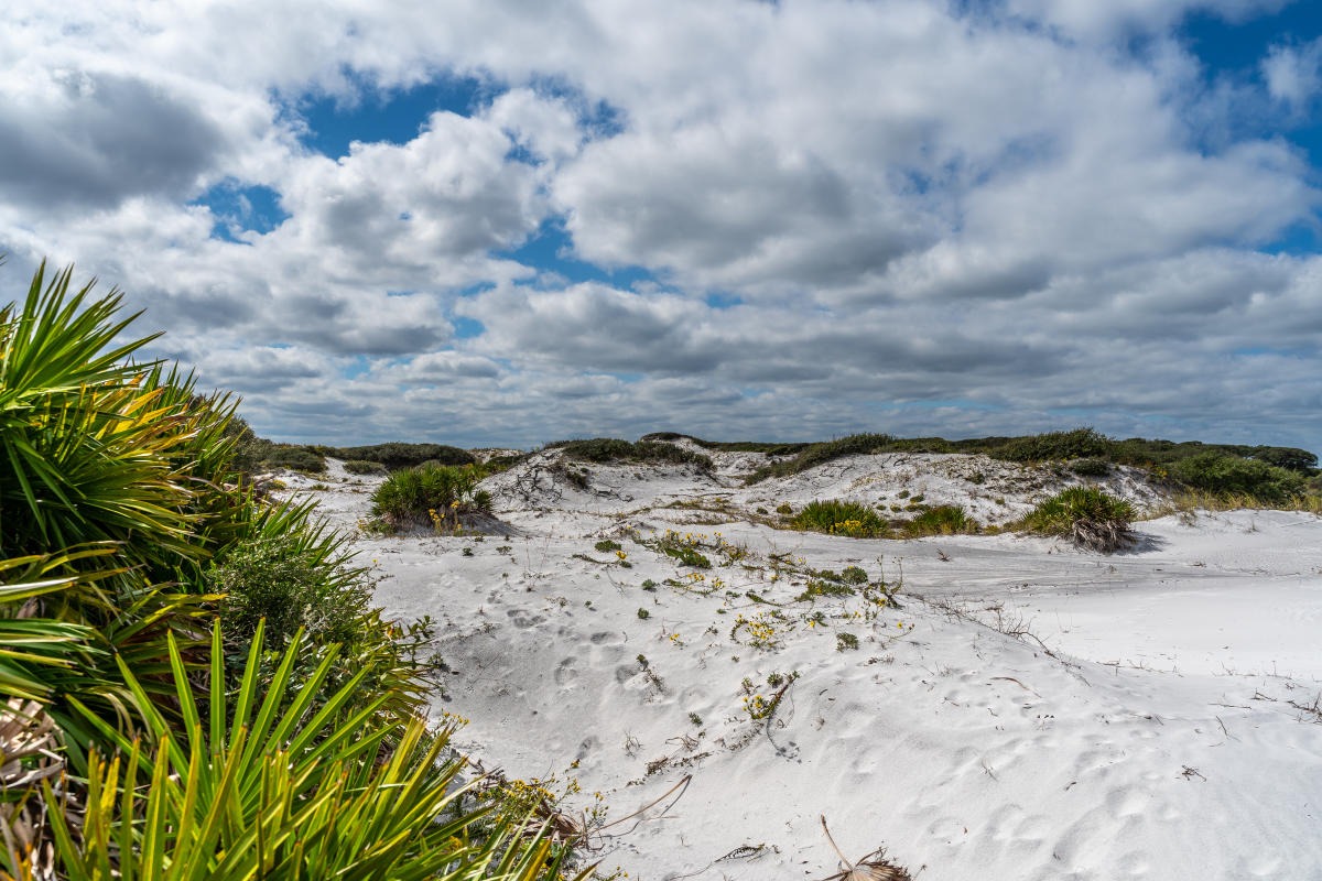 Discover Grayton Beach: Your Ultimate Travel Guide to Coastal Charm and 