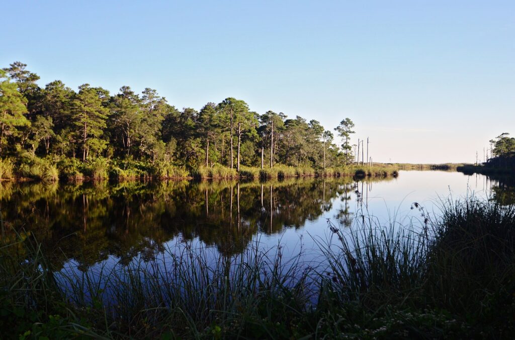 Rustic Retreats Grayton Beach Vacation Homes