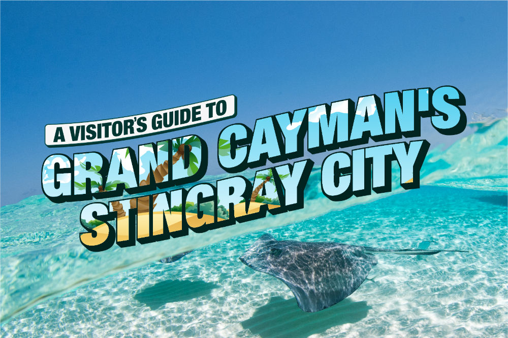 image of Grand Cayman's Stingray City