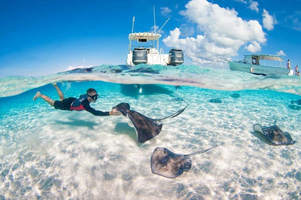 image of Stingray City