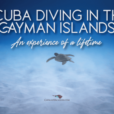 Diving in the Cayman Islands Hero