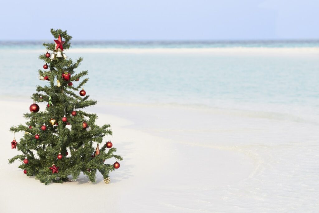 image of Christmas tree