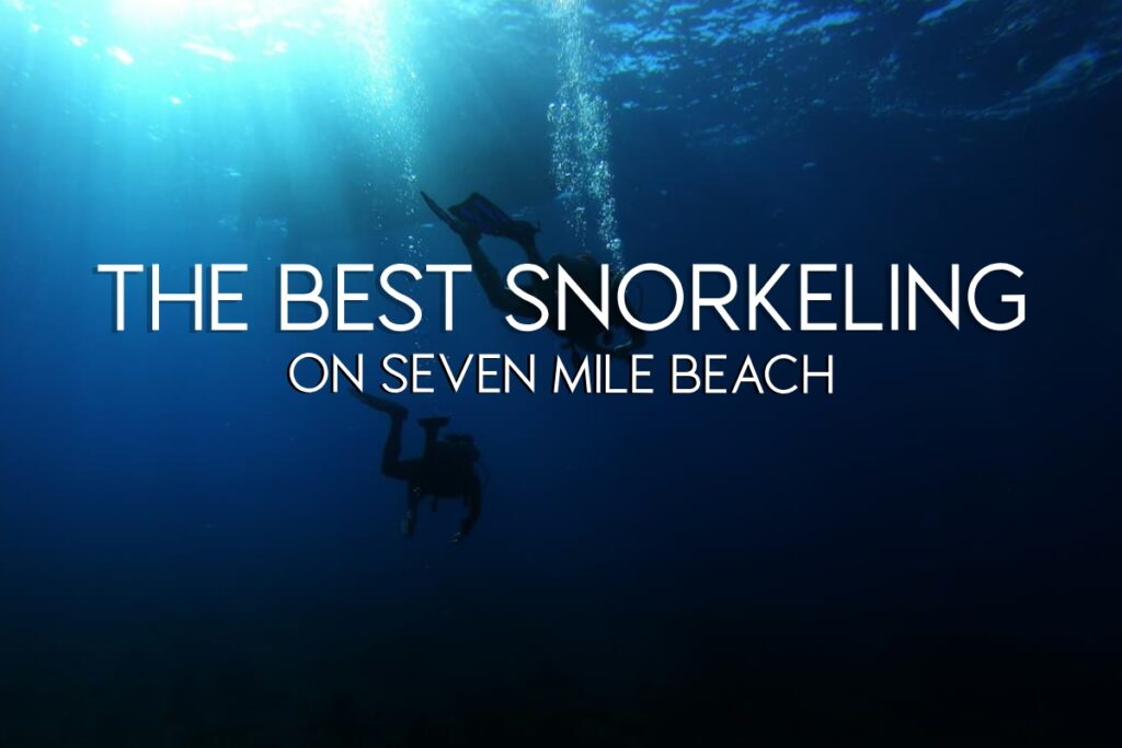 Snorkeling 7 mile beach | Featured Image