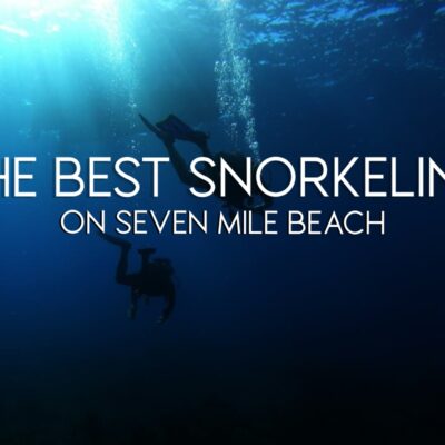 Snorkeling 7 mile beach | Featured Image