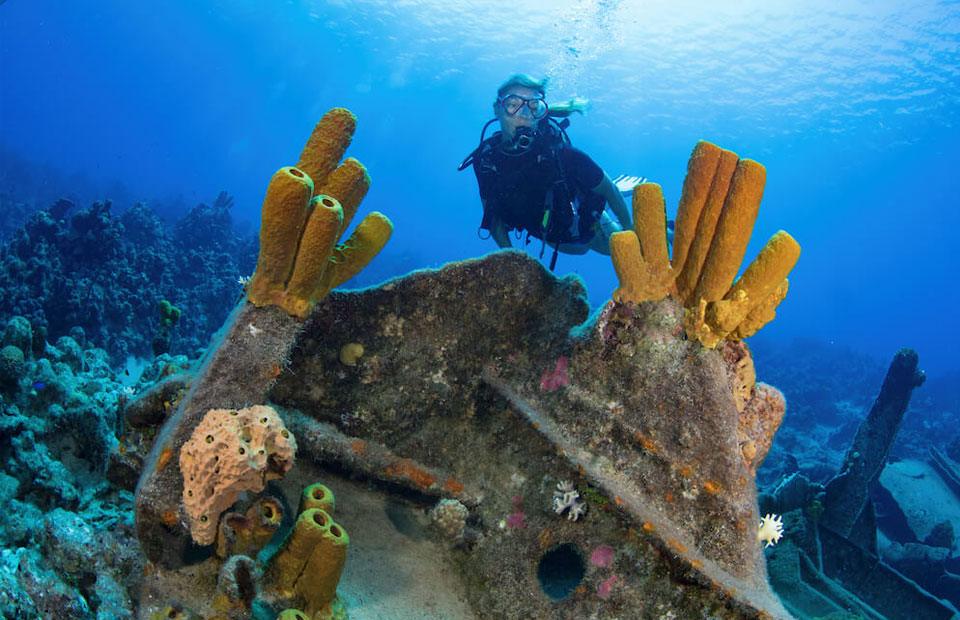 Dive in the Cayman Islands all year round