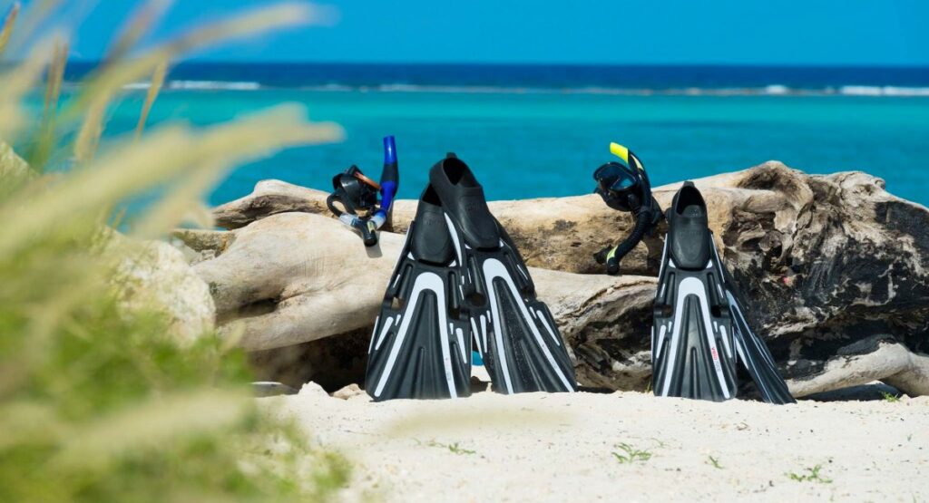 Scuba diving gear with fins and snorkels set on a sandy beach with a large driftwood log, overlooking the clear turquoise sea, ready for an underwater adventure.