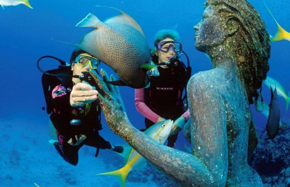 Diving to discover a mermaid