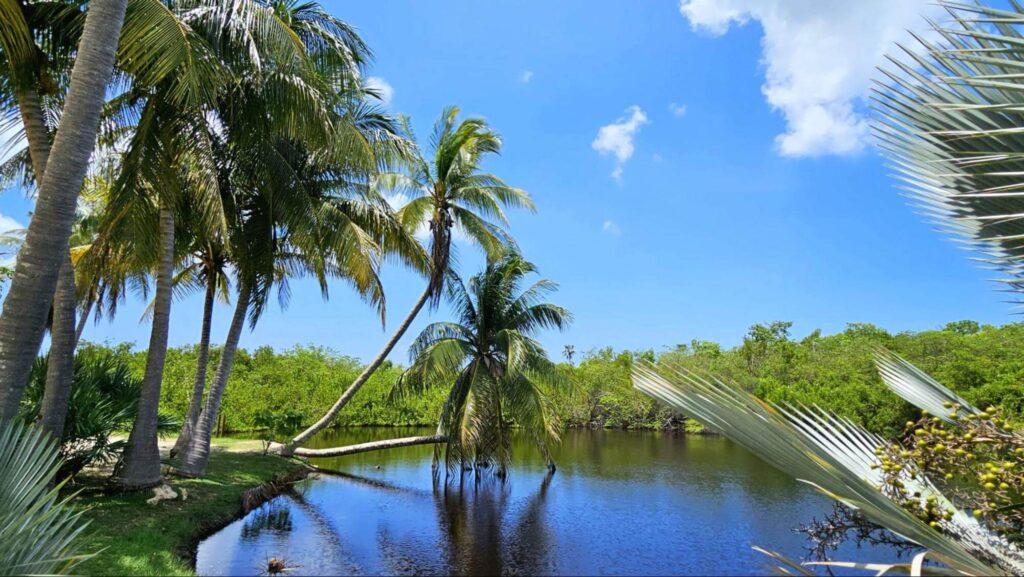 Heritage Garden at Queen Elizabeth II Botanic Park