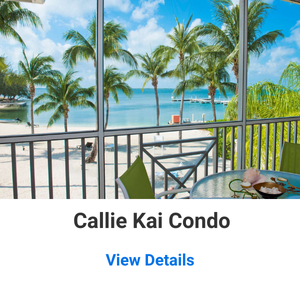 Callie Kai Condo