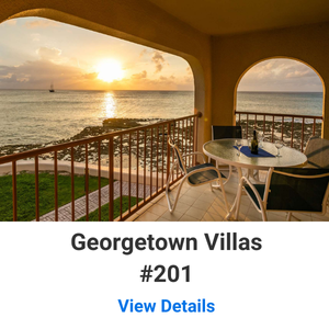 Georgetown Villas #201