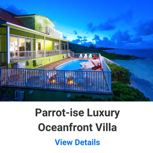 Parrot-ise Luxury Oceanfront Villa