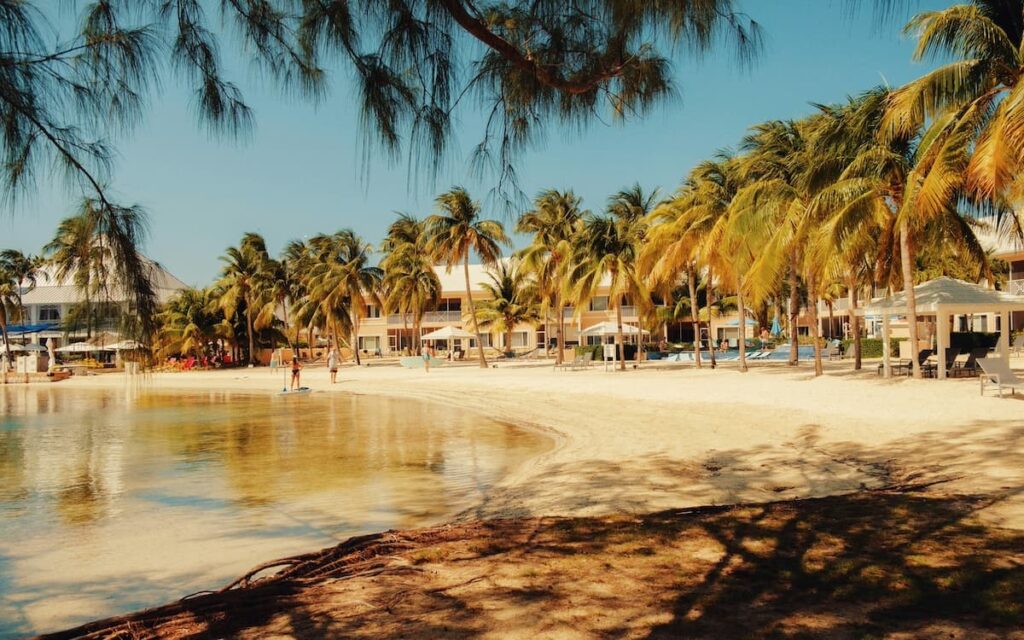 Seven Mile Beach in Grand Cayman with green palm trees dotting the beach