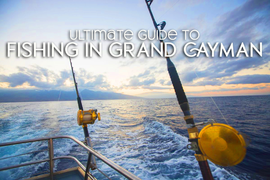 Ultimate Guide to Fishing in Grand Cayman