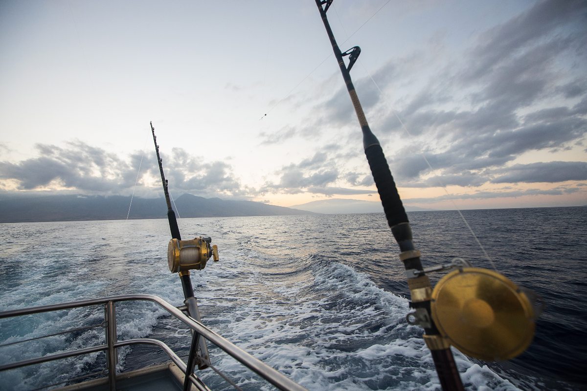 Ultimate Guide to Fishing in Grand Cayman Featured Image