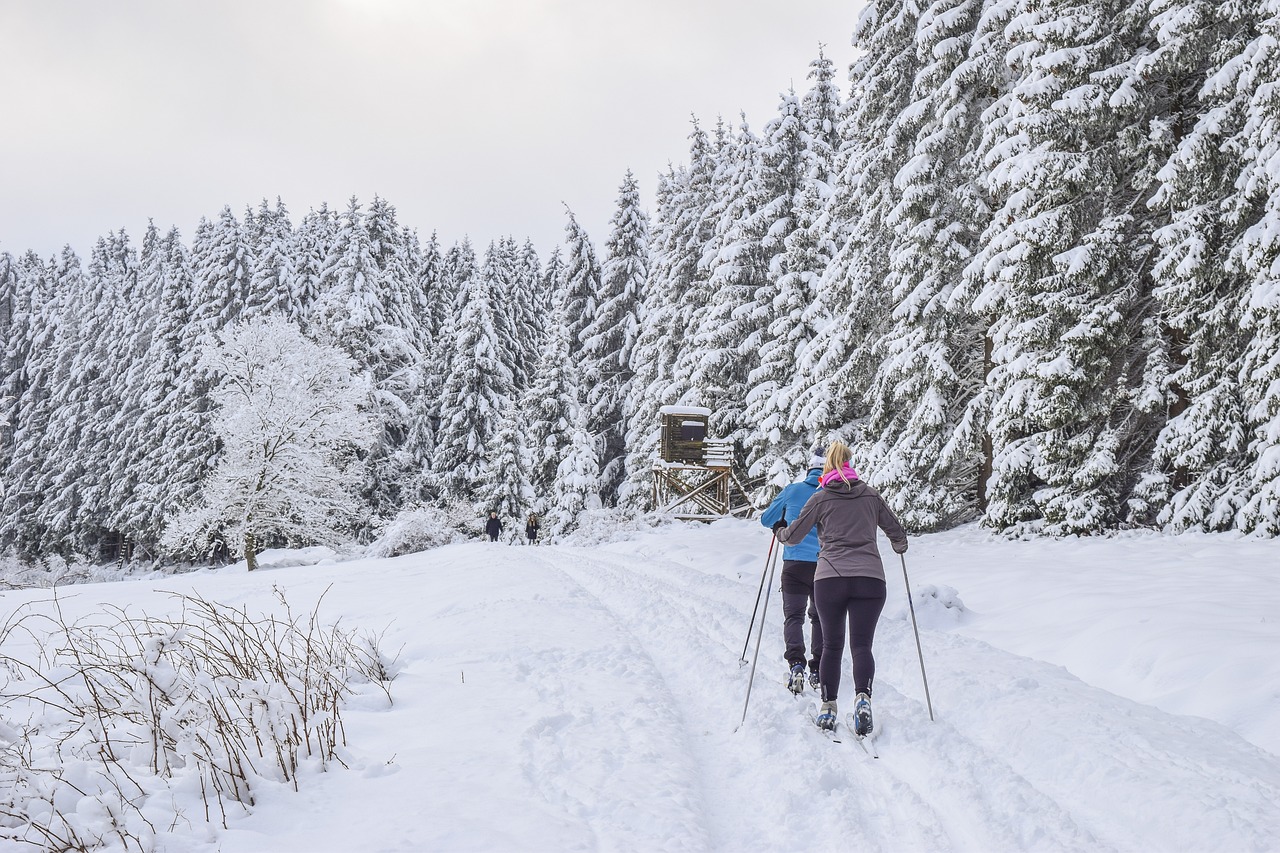 cross country skiing, skiers, ski-5908416.jpg