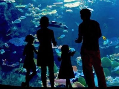 family at the aquarium