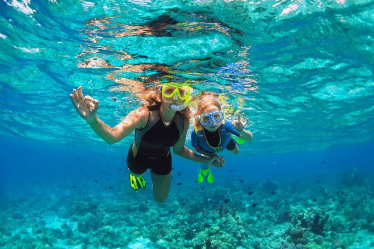 snorkeling tours sarasota fl