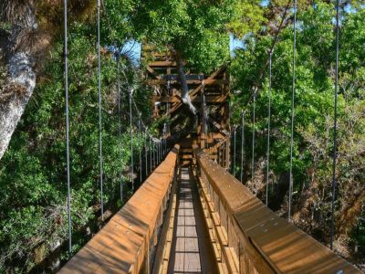 Myakka River State Park