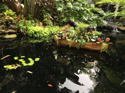 Sarasota Botanical Gardens