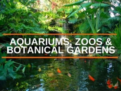 "Aquariums, Zoos, & Botanical Gardens" Graphic