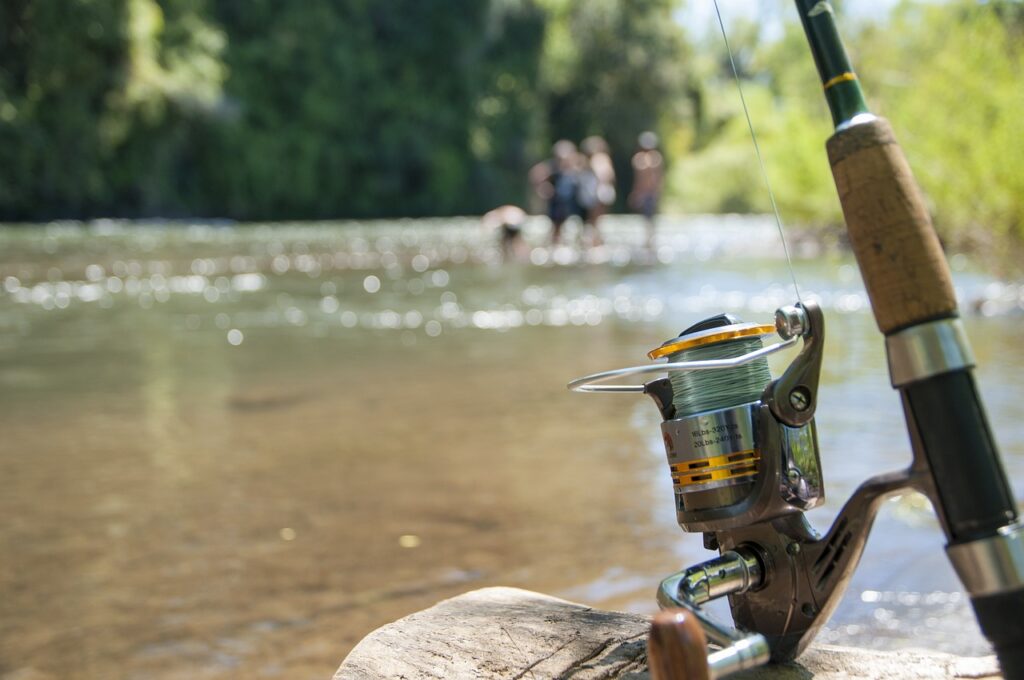 fishing, a fishing rod, cane-2948694.jpg