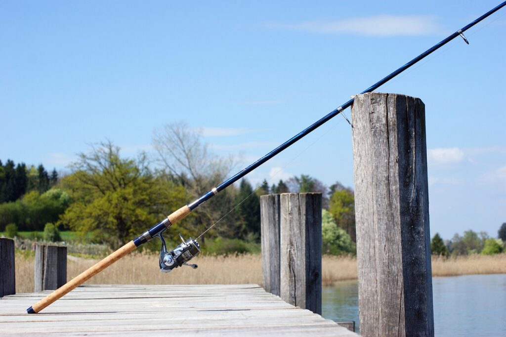 fishing rod, fishing, angler-326843.jpg