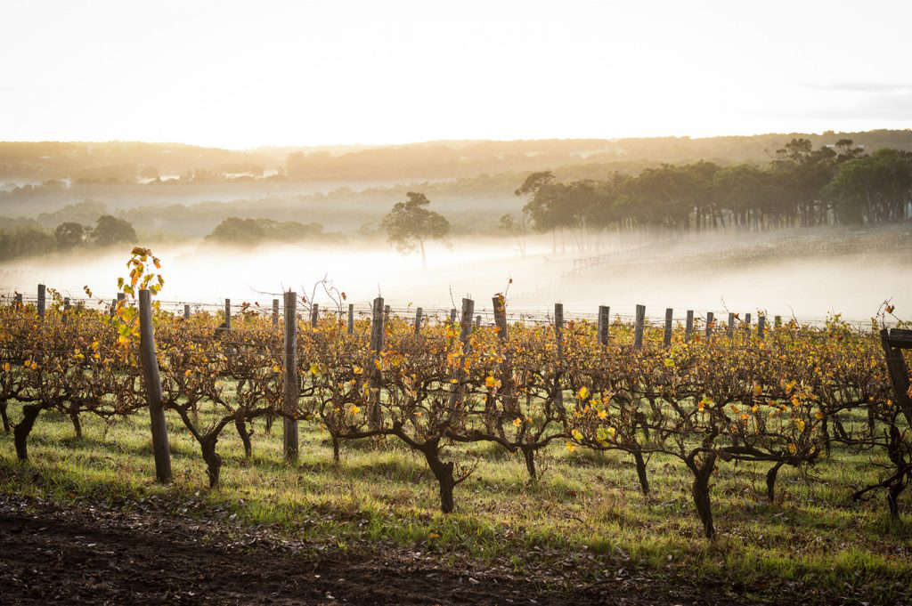 winter accommodation in the Margaret River 