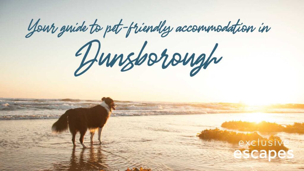 pet friendly accommodation in Dunsborough
