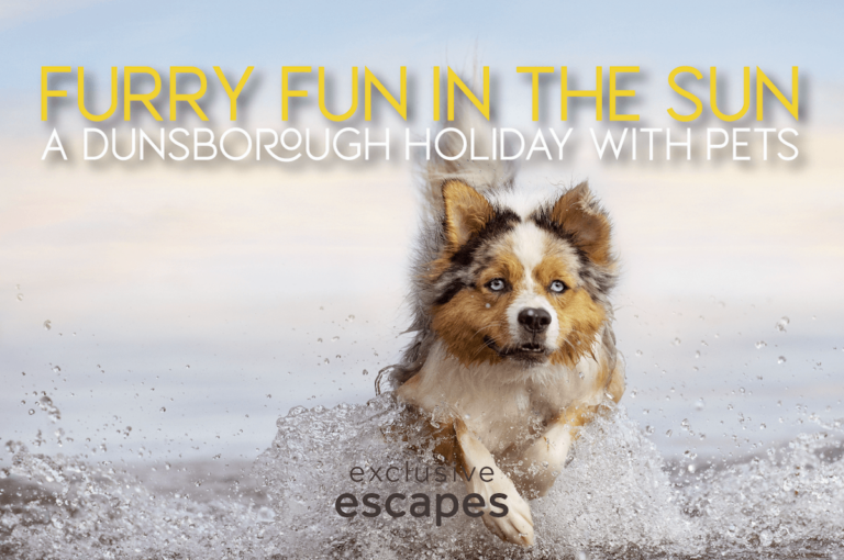 A Pet Parents' Guide to a Pawsome Dunsborough Holiday with Pets