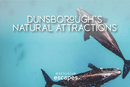 Dunsborough Natural Attractions Hero