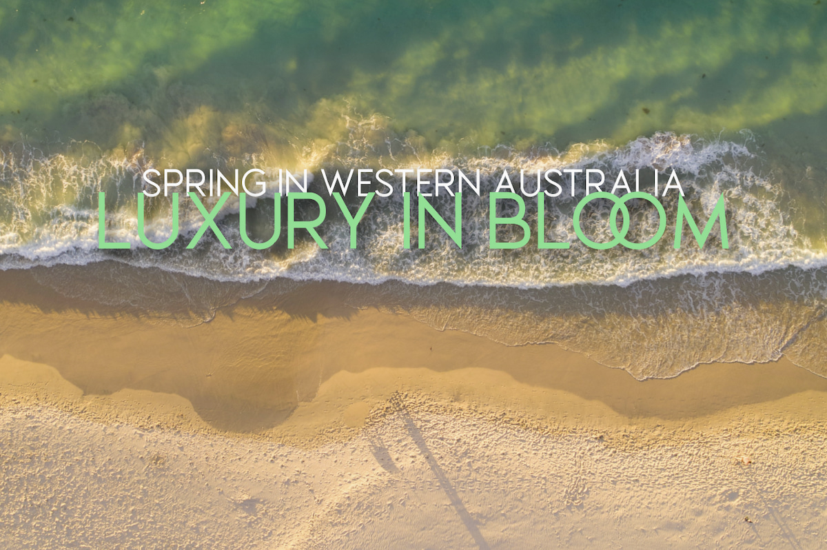 Your Surfers Paradise to do list! - Springtime