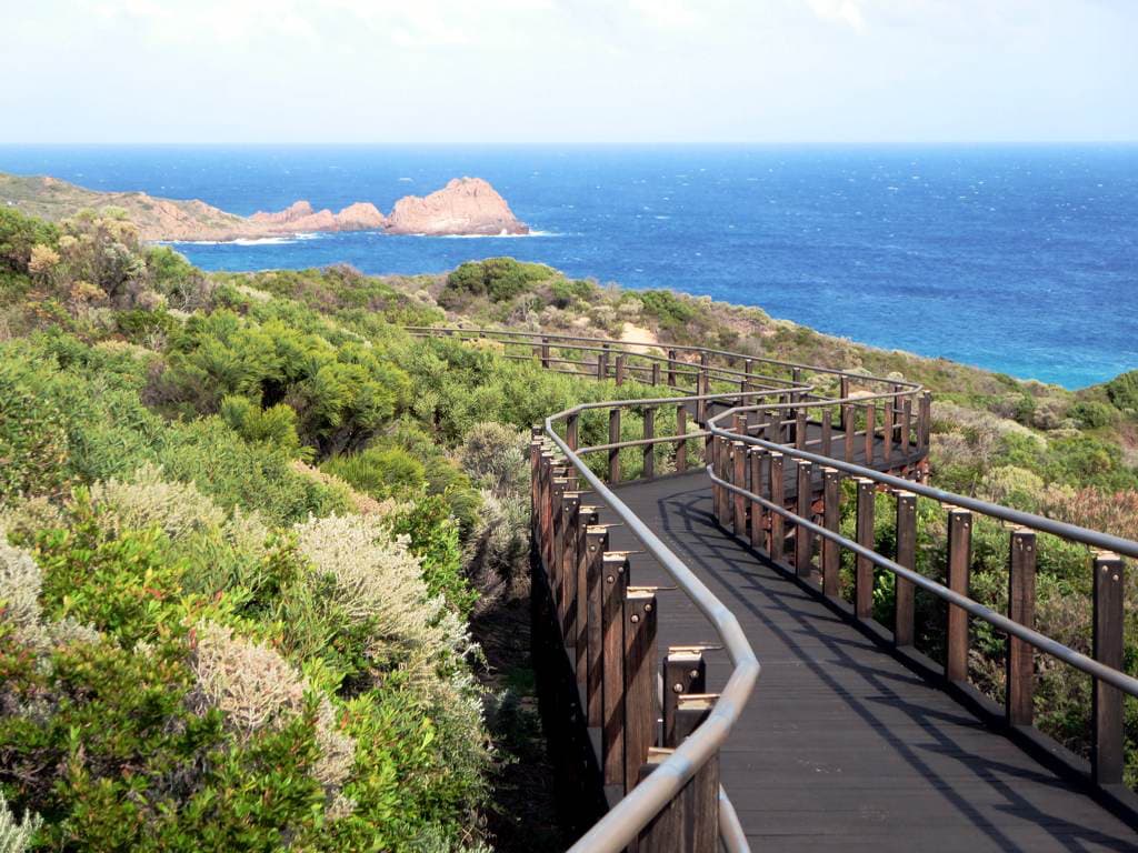 Boardwalk surrounded by greenery next to the blue ocean