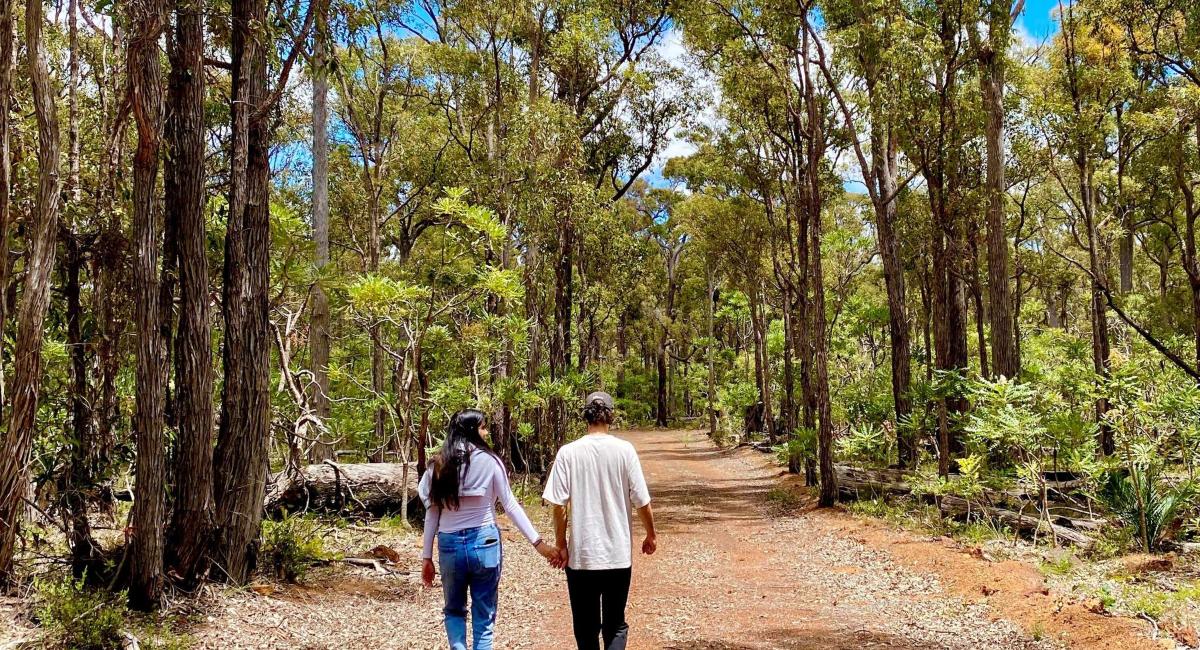 Two people walking hand in hand on a tranquil forest trail surrounded by towering eucalyptus trees, with the sunlight filtering through the foliage near Bridgetown, WA