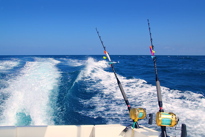 Rolling Tide Fishing Charters